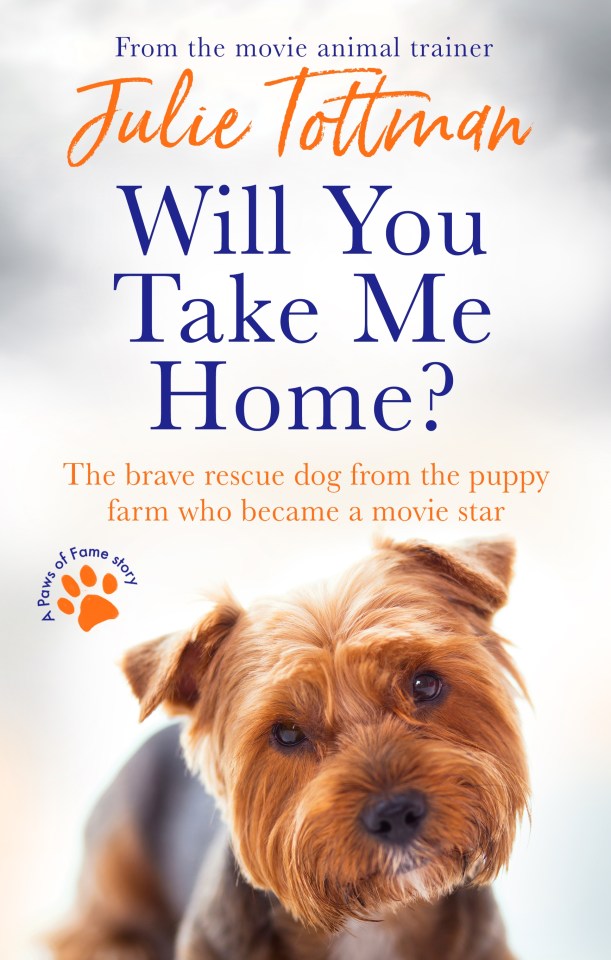 'Will You Take Me Home?' by Julie Tottman is out now priced £7.99