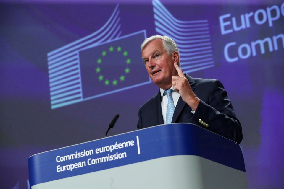 Michel Barnier has said he has been "disappointed" with progress in talks