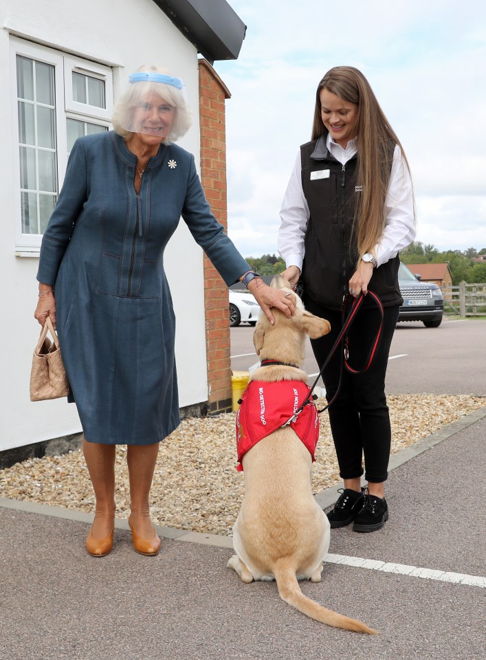 The duchess said the work could save thousands of lives