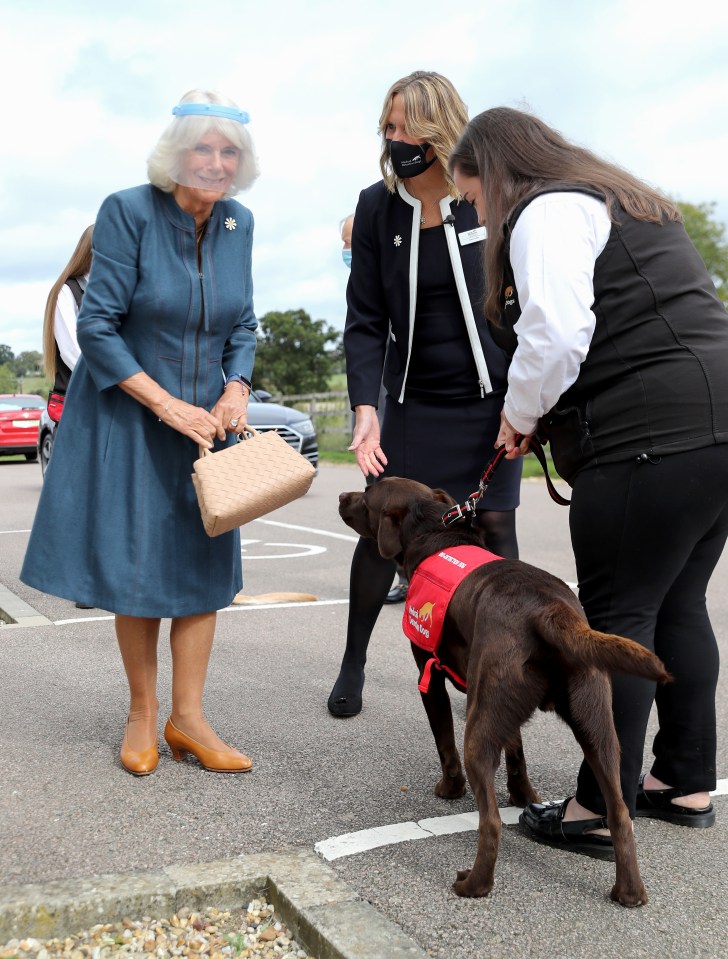 Camilla seemed keen to meet some of the pooches that are part of the trial