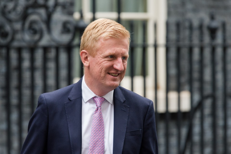 Digital Secretary Oliver Dowden backed the calls and said online communication 'should not be a refuge for abusive, harmful or criminal behaviour'