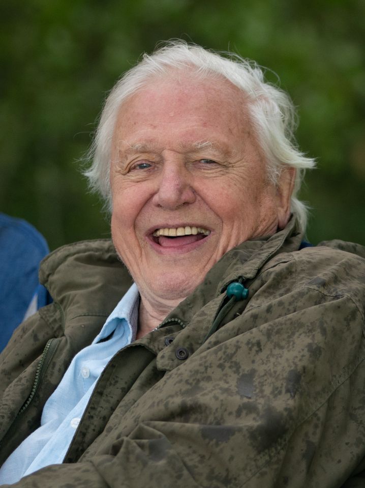 TV Naturalist Sir David Attenborough raked in over £2.2million last year