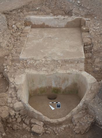 Humans would have stamped on grapes in the section above the basin