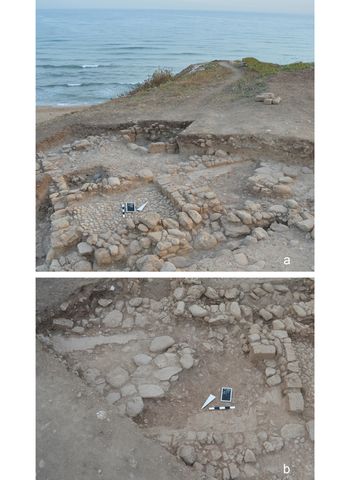 Evidence of houses near the wine press were also found