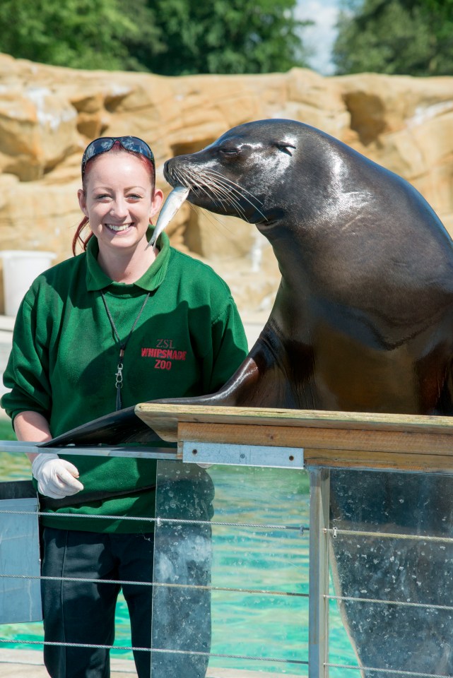 ITV's new series London Zoo: An Extraordinary Year shines a light on the dedication of staff during lockdown