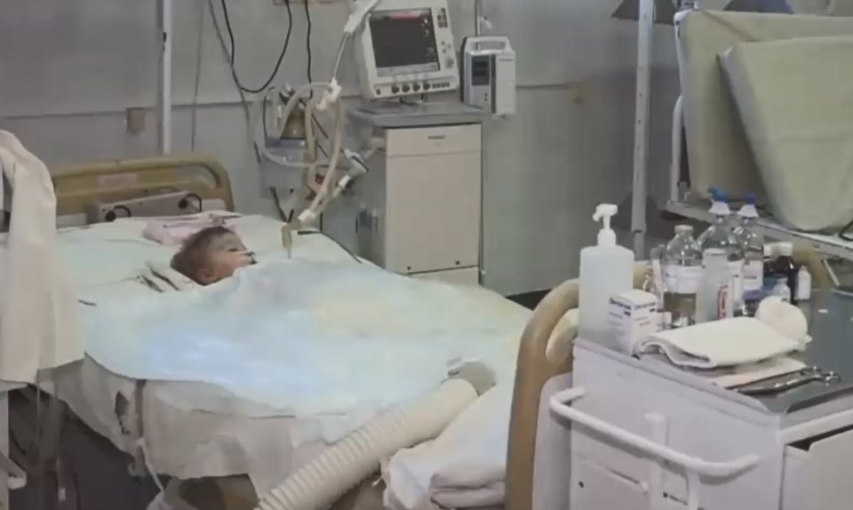 Little Yegor was hospitalised after the attack