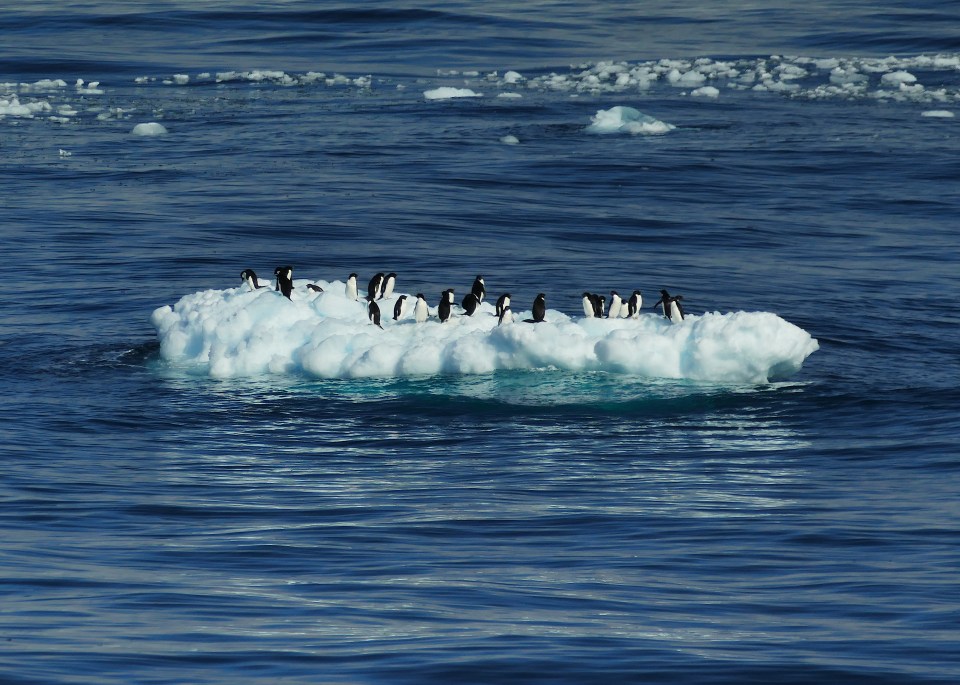 The Paris Agreement may not stop melt in the Antarctic