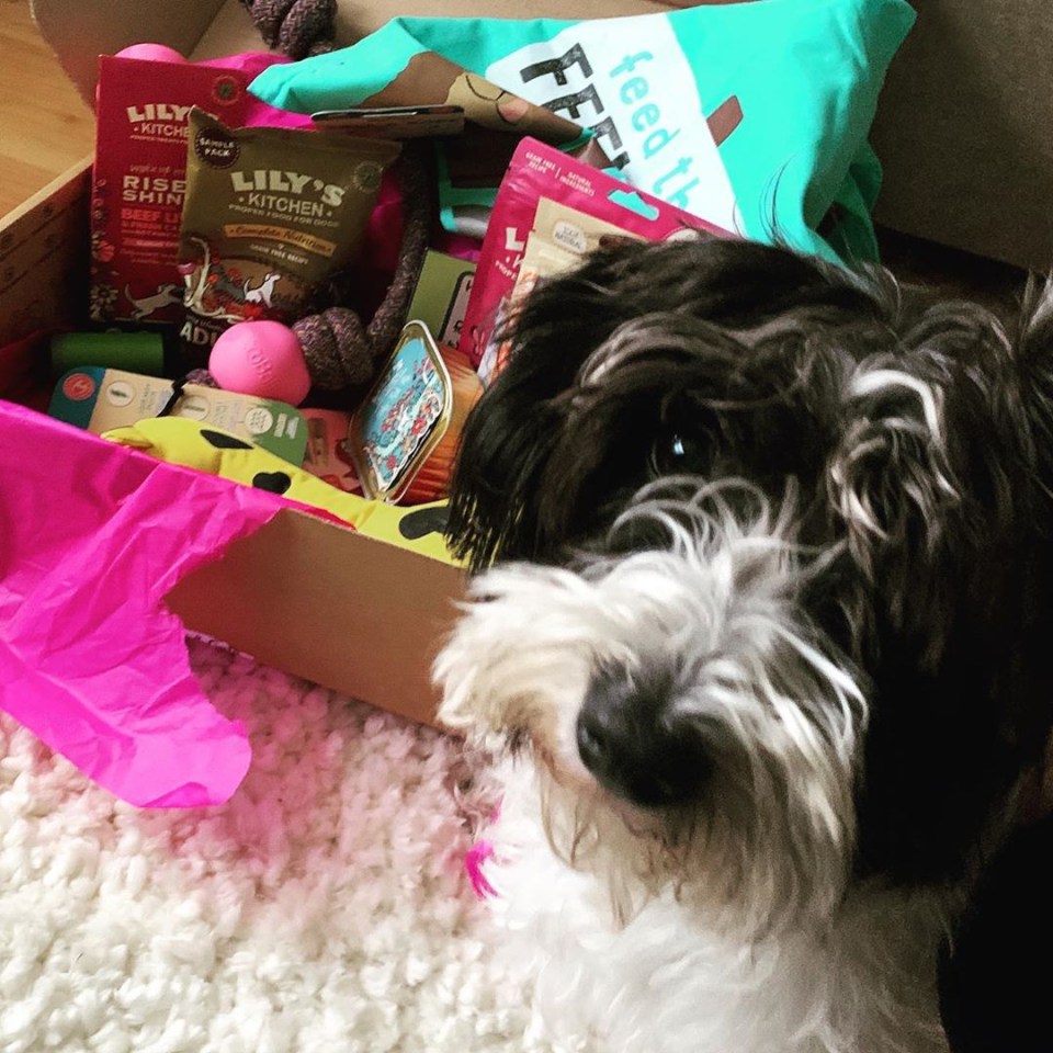 The star loves to treat Lady with tasty goodies and toys 