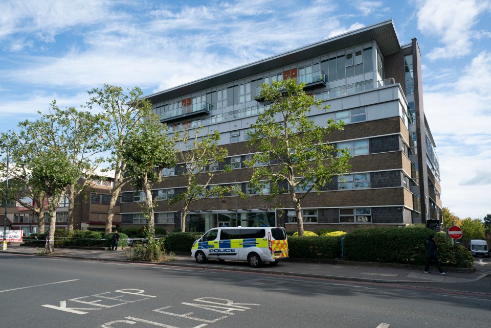 The block of flats in Norbury where the suspect was arrested