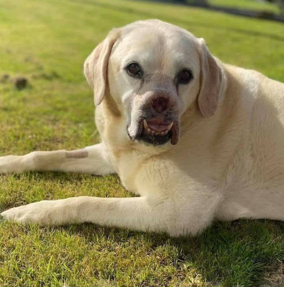 He had to undergo life-saving upper jaw and nose removal