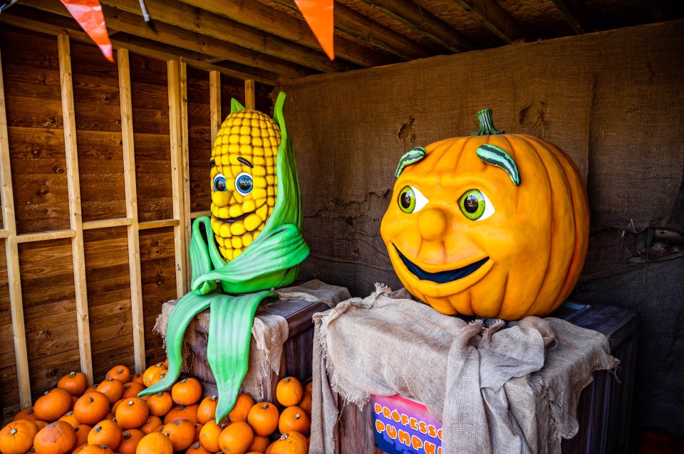 Kids are encouraged to dress up in their own spooky costumes