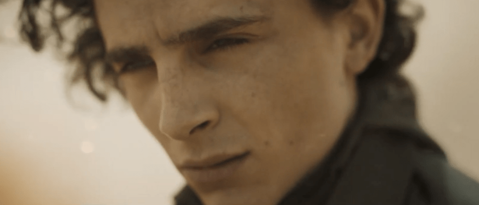 Timothee Chalamet stars in the new trailer for science-fiction movie Dune