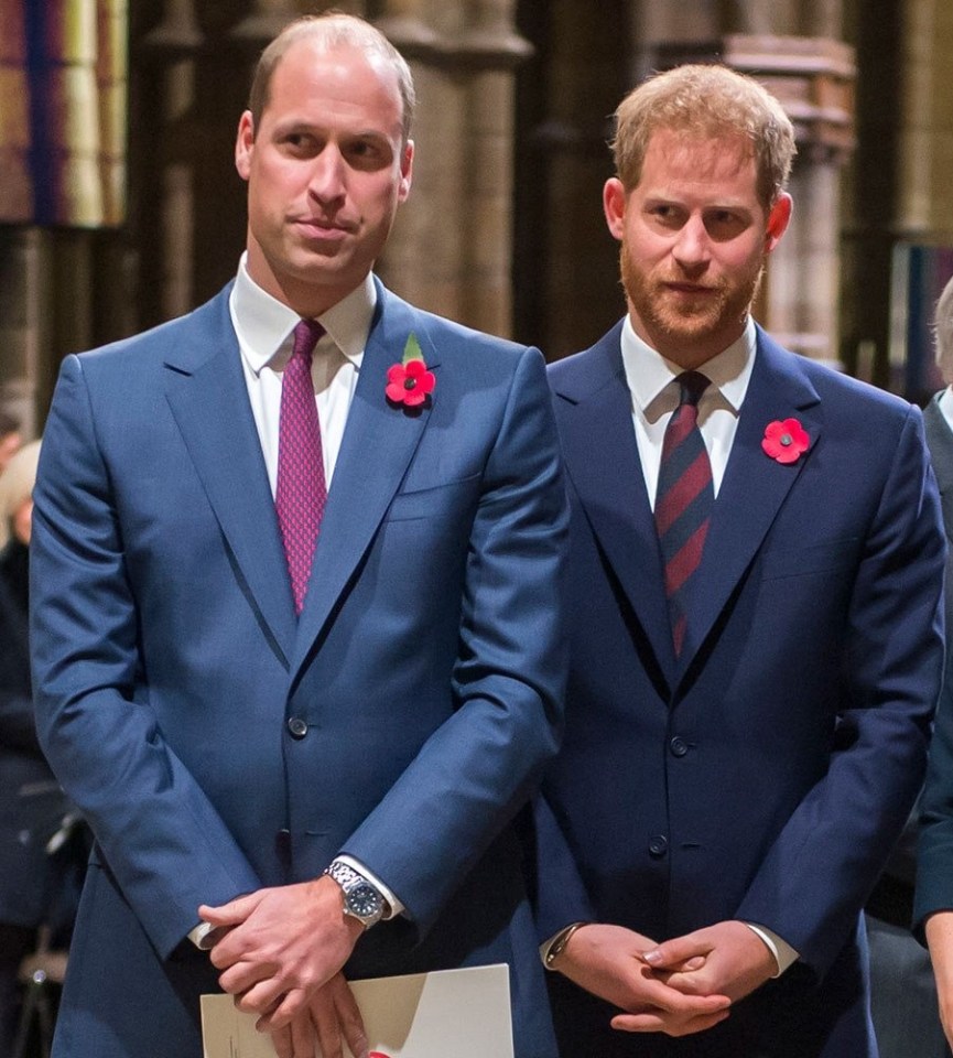 Prince William and Prince Harry pictured at Westminster Abbey for the Commonwealth Service earlier this year