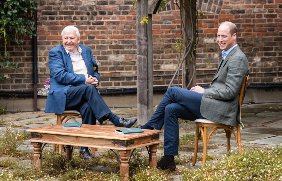 The Duke of Cambridge and Sir David Attenborough pictured discussing The Earthshot Prize at Kensington Palace