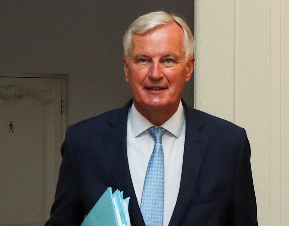 EU chief negotiator Michel Barnier told EU ambassadors he expects the summit in Brussels to be little more than a 'stocktake' of progress