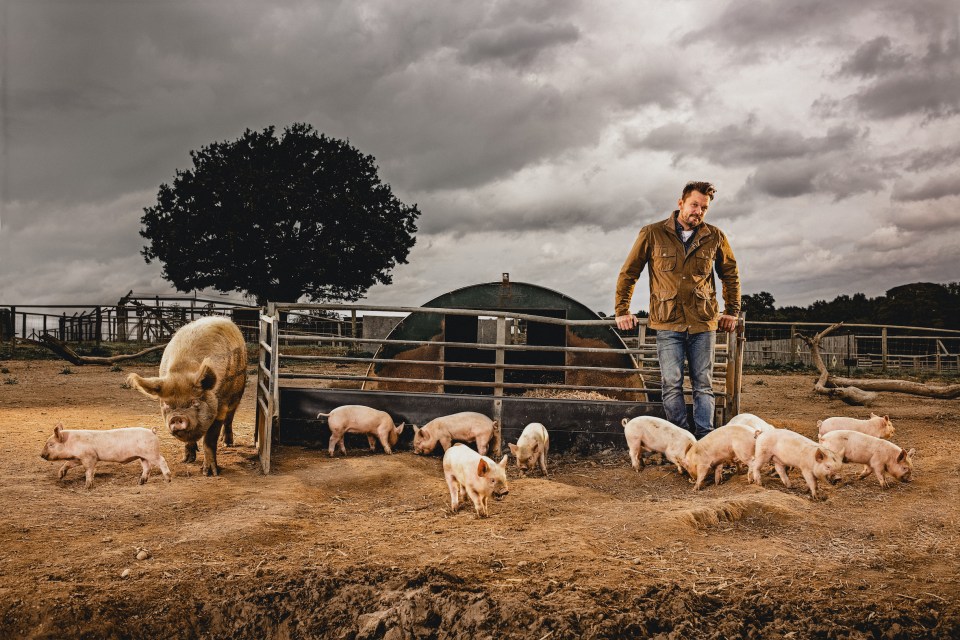 TV farmer Jimmy Doherty is coming back on Channel 4 on Wednesday 