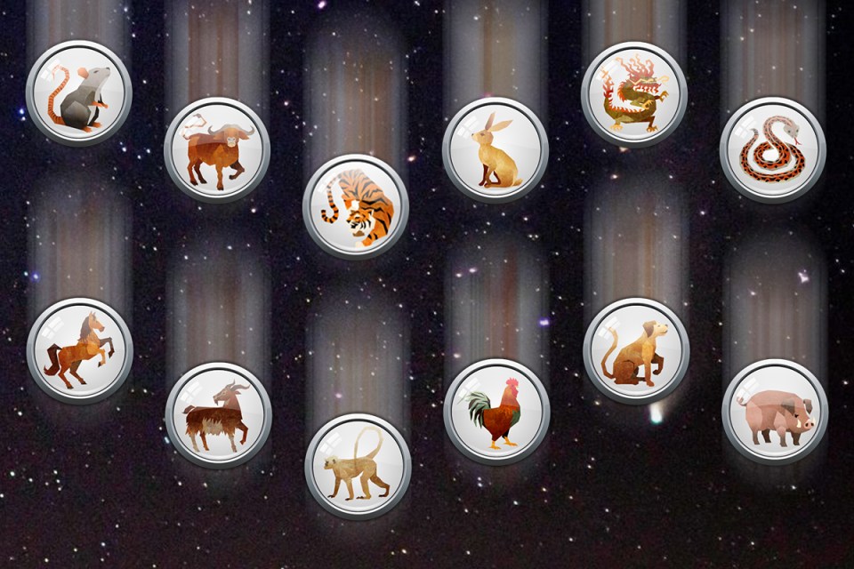 There are 12 animals in the Chinese zodiac calendar