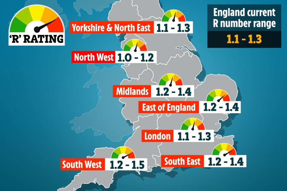 This graphic shows the latest official R rate estimates from the Government