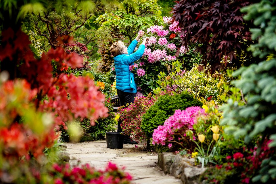 Many Brits also love enjoying their gardens