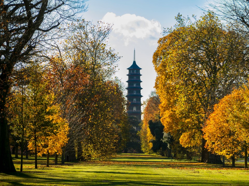 Kew Gardens are open to the public again, with a themed Gruffalo Walk during half term