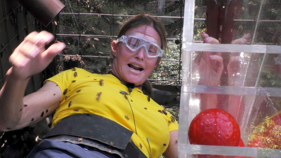 Caitlyn Jenner was covered in bugs during trials - but there were no flies on her when it came to her appearance fee