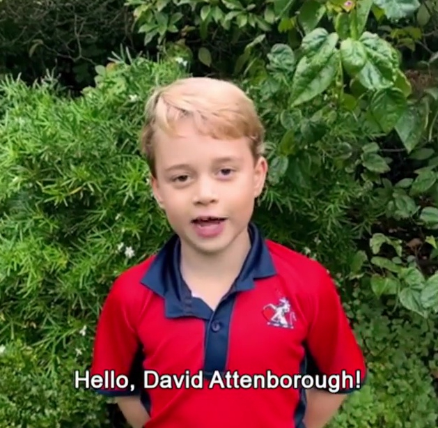 Prince George and his siblings recently appeared in a video where they quizzed David Attenborough