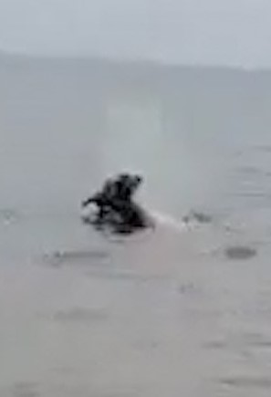 The hippo dragged the young boy out into Lake Victoria