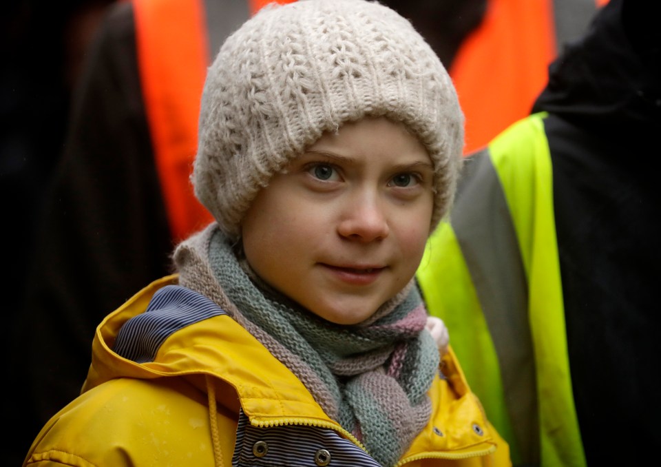 Wills called on politicians to listen to younger generations, including 17-year-old Swedish campaigner Greta Thunberg