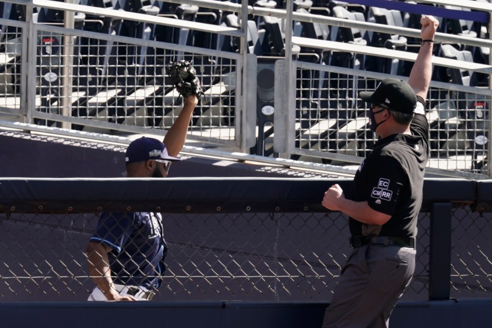 The umpire agreed he did not drop the ball and confirmed the catch