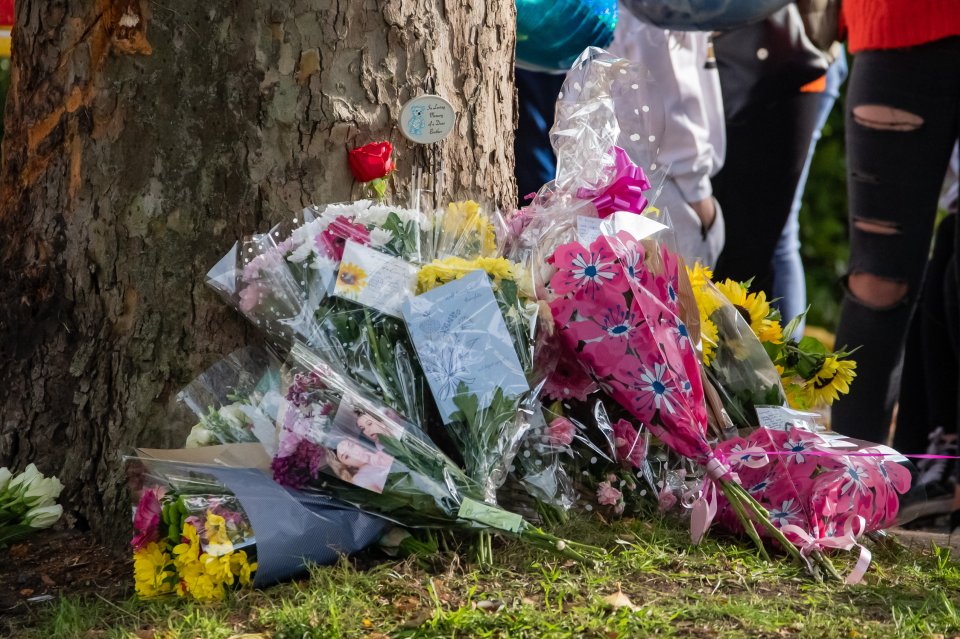 Friends and family paid tribute to the teens killed in the crash that unfolded on Tuesday