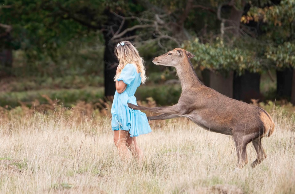 Police have released a photo of a woman apparently getting attacked by a deer as she posed for an Instagram photo in Richmond Park, London