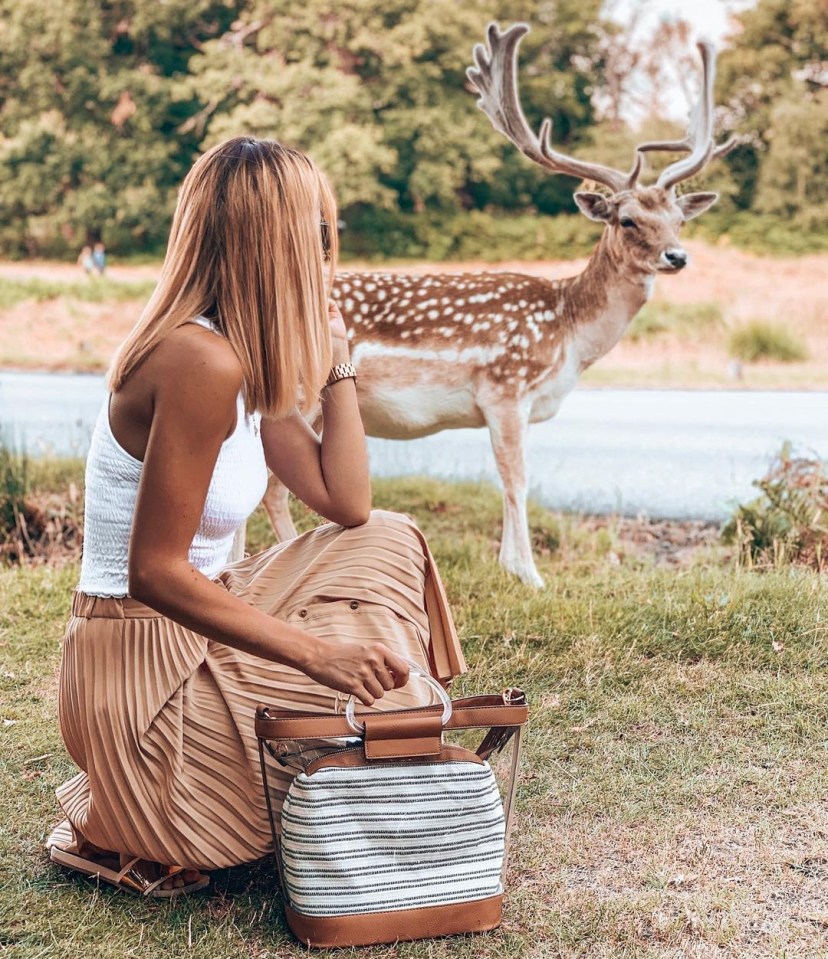 Photos from Instagram show people getting close to the deer in the royal park