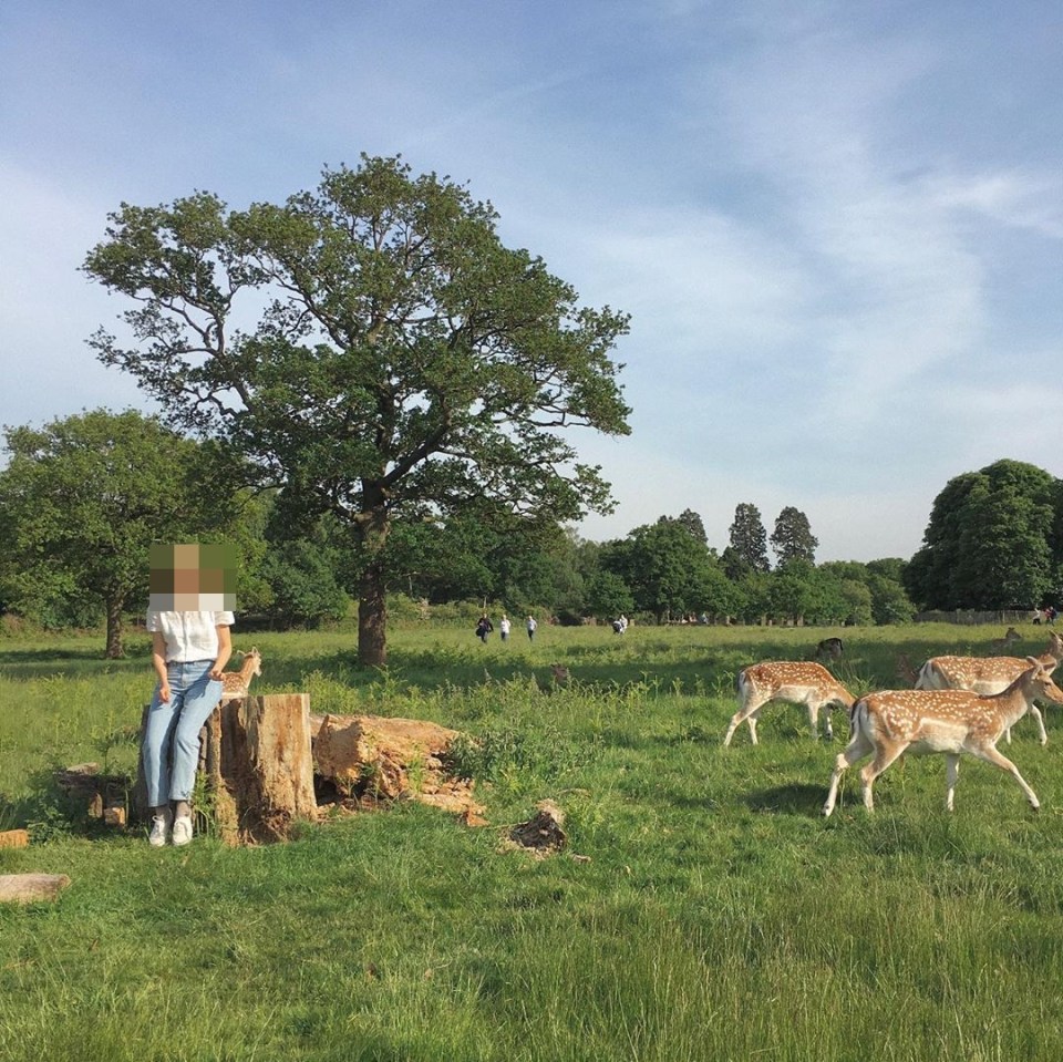 This social media user sat close to a group of does on her visit to the park