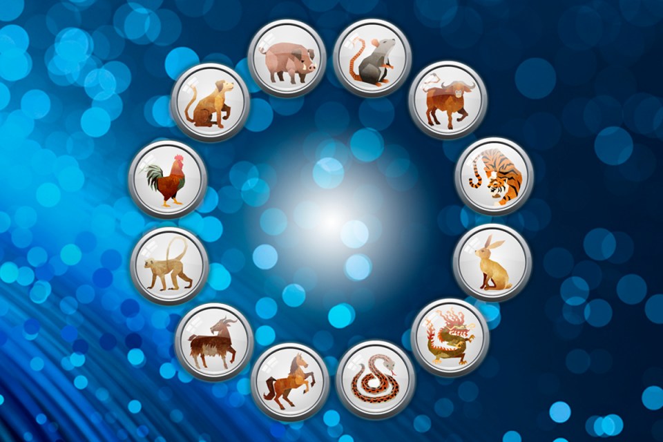 Each sign in Chinese astrology has a compliment and a bad match