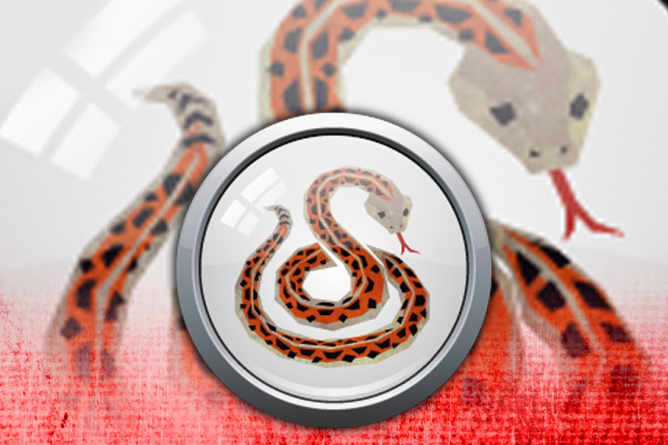 The Snake is the sixth animal of the Chinese zodiac