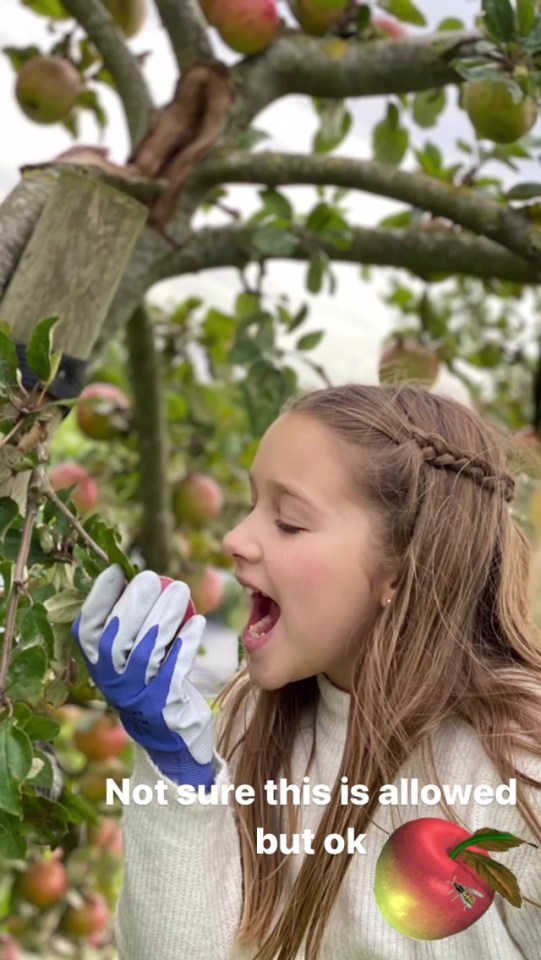 David joked that Harper wasn't supposed to be eating the produce