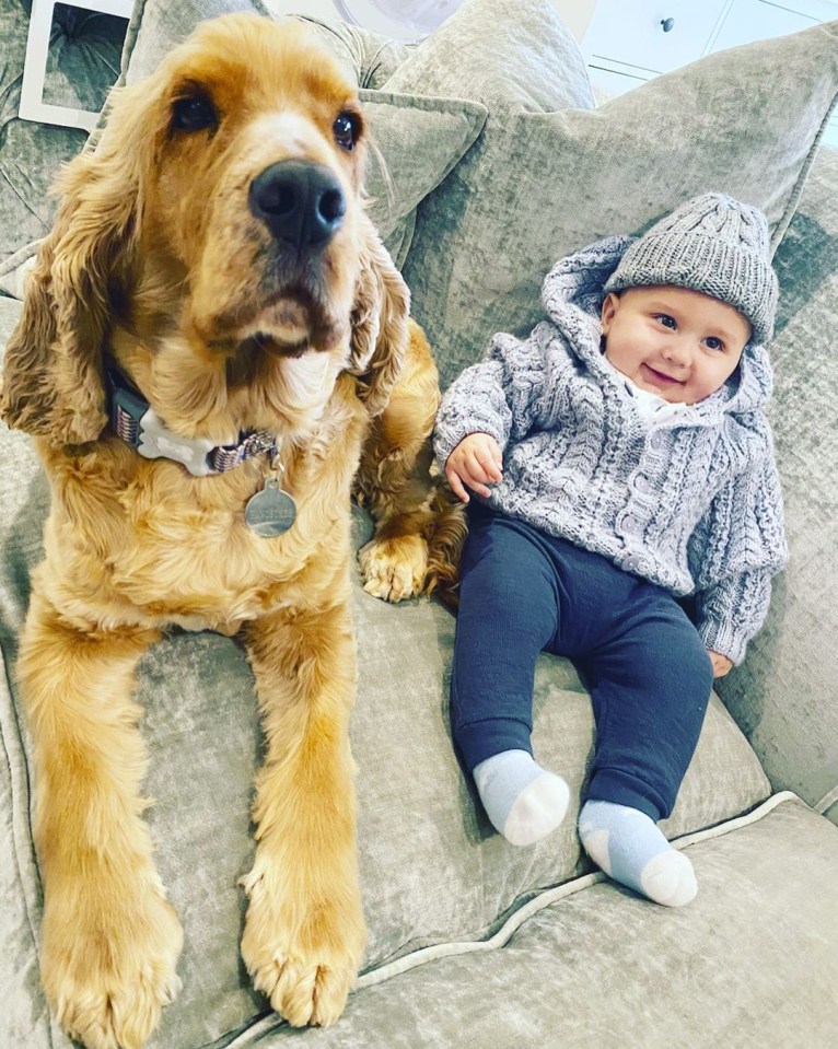 Mrs Hinch’s beloved dog, Hnery, and baby son, Ronnie