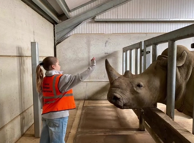 She carefully patted a rhinoceros 