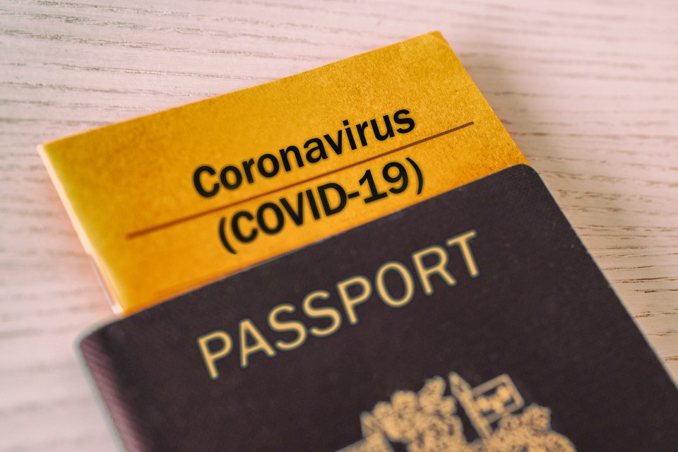 Traveller are reportedly faking their negative coronavirus tests to travel