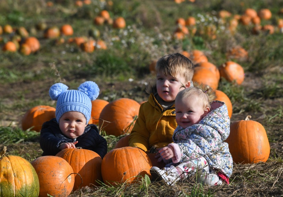 These adorable kids getting into the Halloween spirit at a pumpkin farm in Gower, Wales