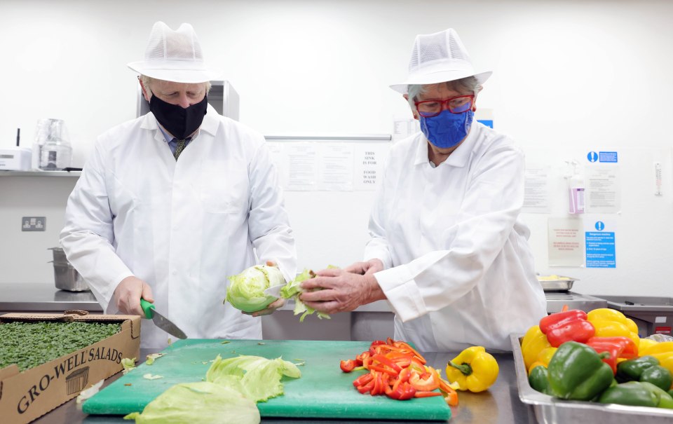 The PM chopped lettuce with Prue Leith as he backed her plans to boost hospital food