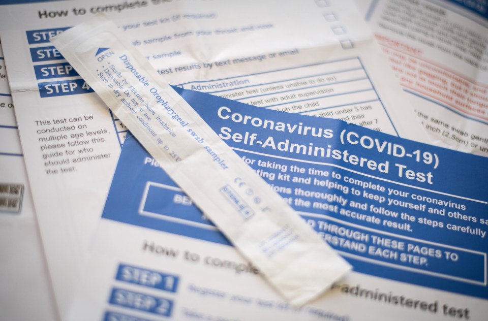 Brits will be able to test themselves for Covid in the morning, a minister said