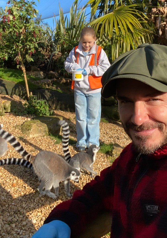 David Beckham spent the day at the Cotswolds Wildlife Park with daughter Harper