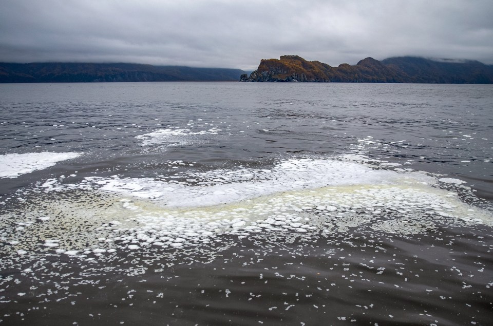 A "film" was spotted on top of the water