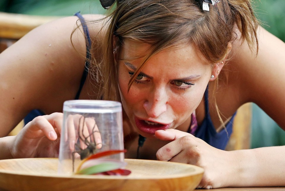 Ferne McCann choked down this live water spider on I'm a Celeb in 2015