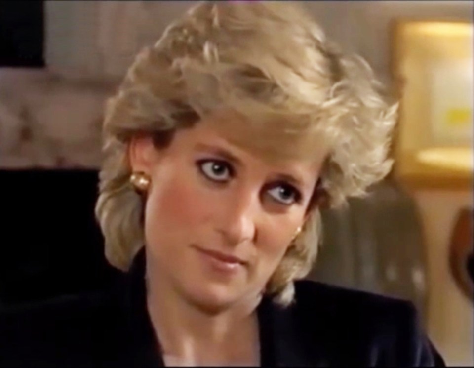 Diana was talked into going ahead with the Panorama interview in secret