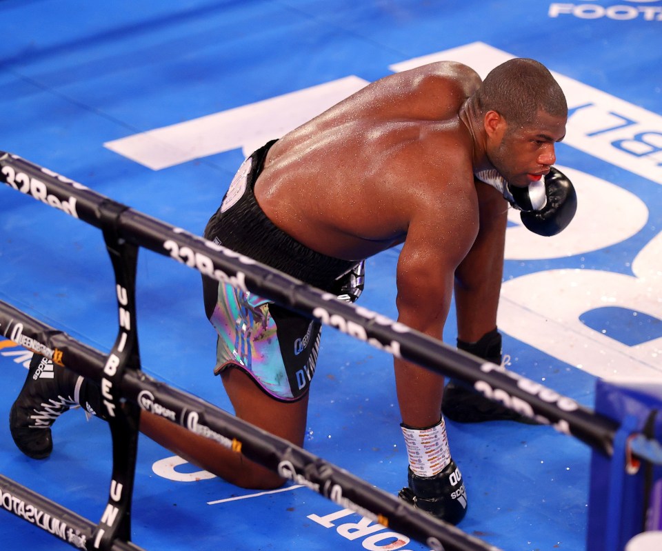 Daniel Dubois took a knee - and was later taken to hospital