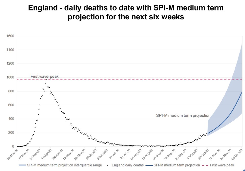 Slides used in Saturday's press conference suggested daily deaths could near 1,500 by early December