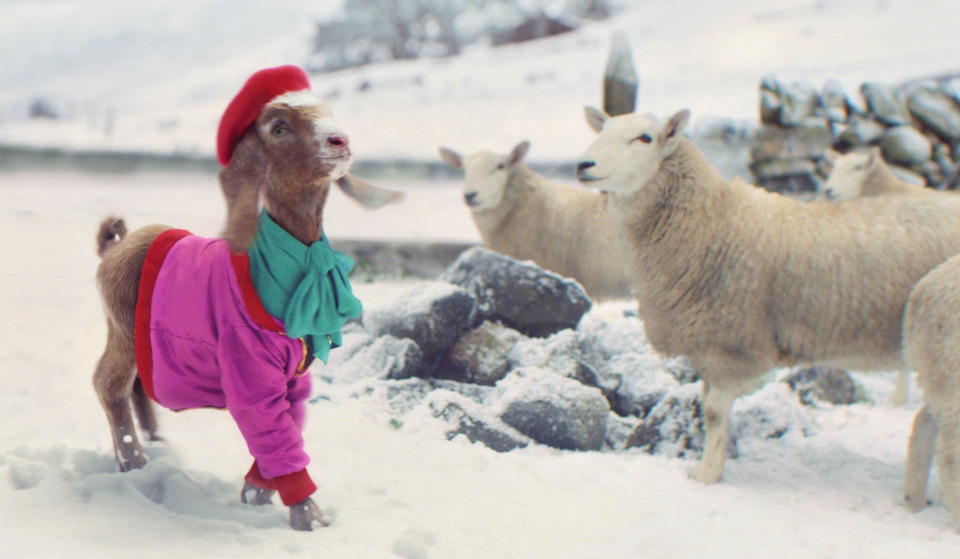 Lil Goat shows off his Christmas present in the TK Maxx advert