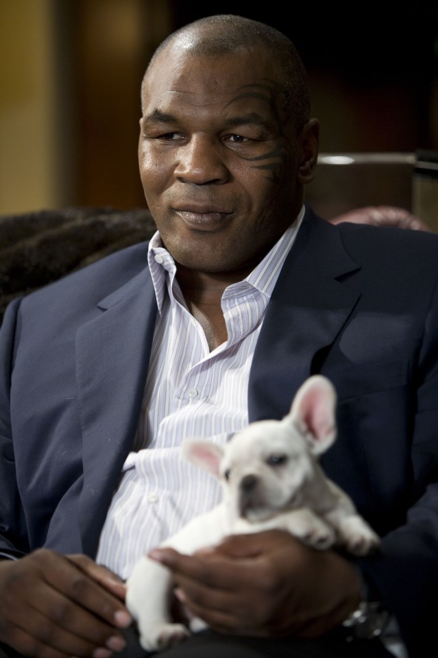 Mike Tyson has always had a love of animals in the past